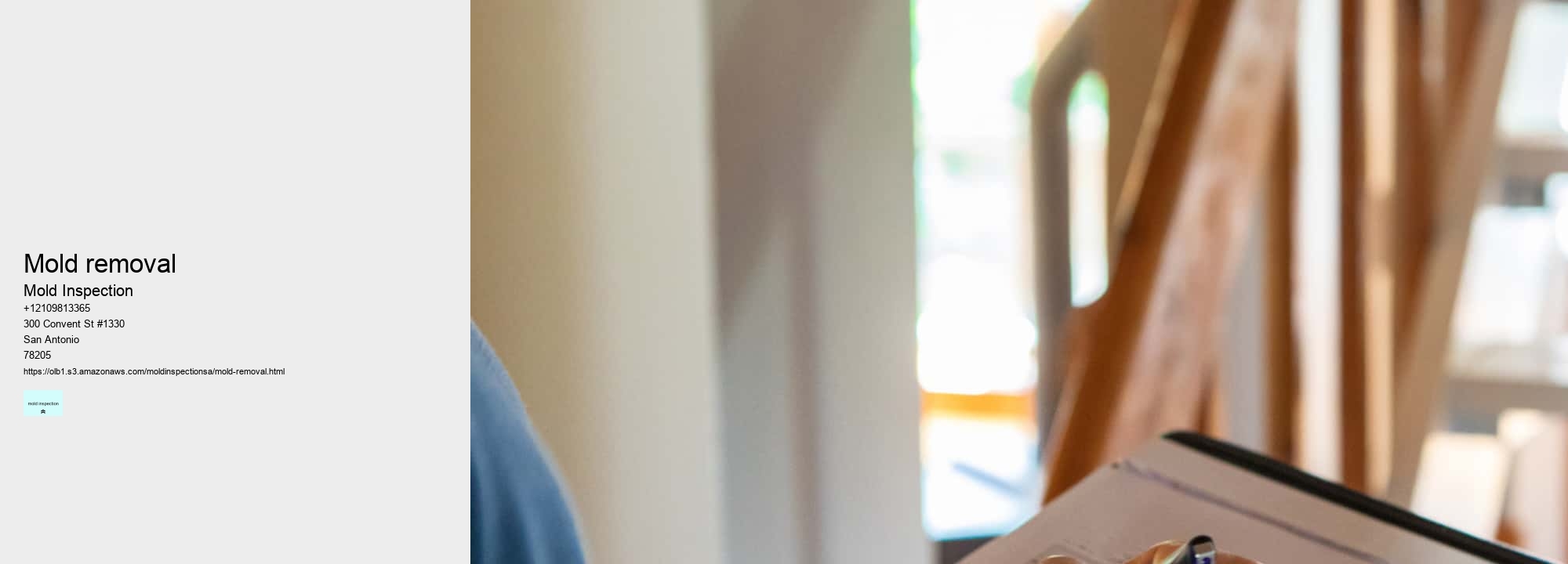 What is Involved in a Comprehensive Mold Inspection